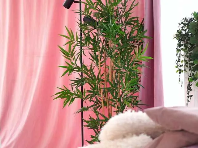 ArtTeasee broadcasting live