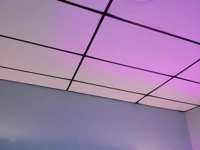 Gisell-Montoy Image 18