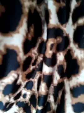 BellyDancer1 Image 2