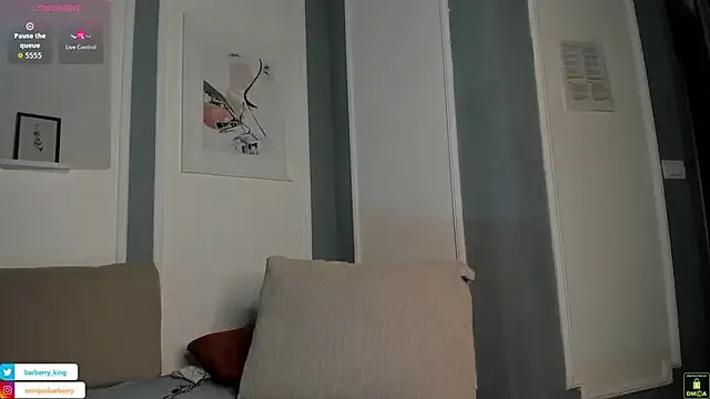 EnriqueBarberry Image 14