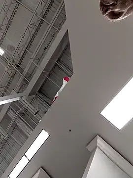 Hungwell1515 Image 11