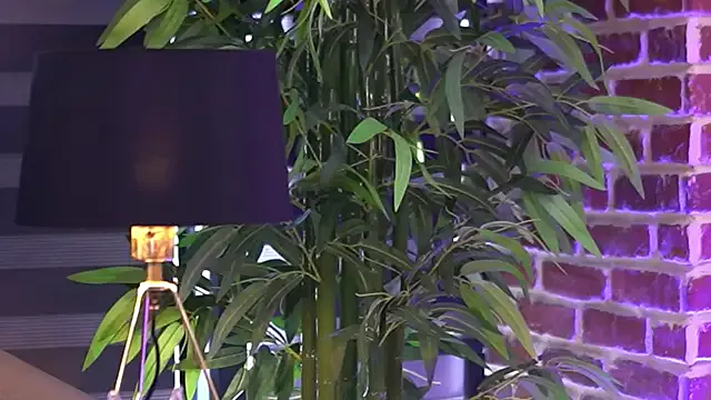 MillaSerene Image 14