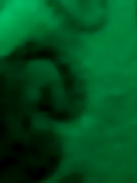 ramya9-telugu Image 2