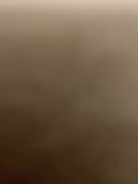 ReineNeferrti Image 6