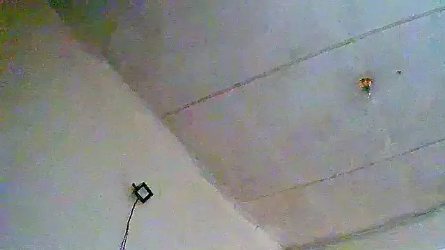 SHORTGUN_STALLION Image 16