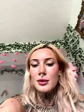 Stella-Kink Image 15